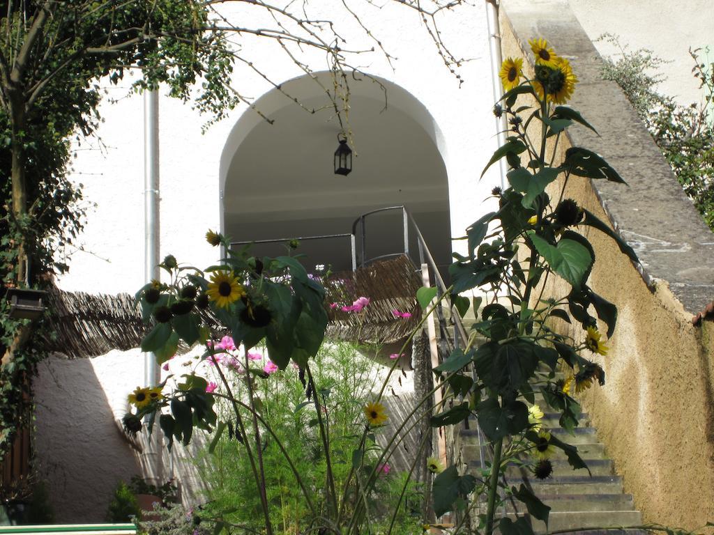 La Maison Des Fontaines D'Alsace Ferrette المظهر الخارجي الصورة