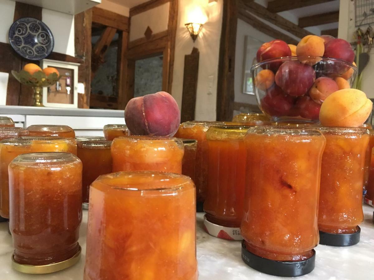 La Maison Des Fontaines D'Alsace Ferrette المظهر الخارجي الصورة